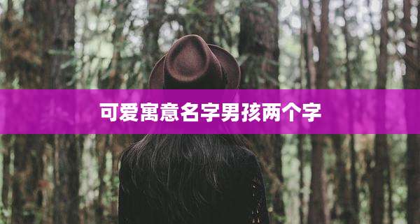 可爱寓意名字男孩两个字