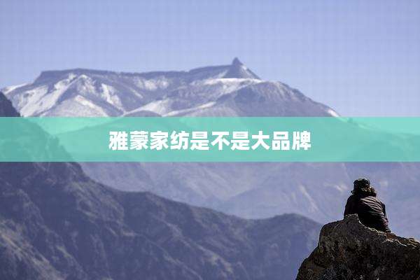 雅蒙家纺是不是大品牌