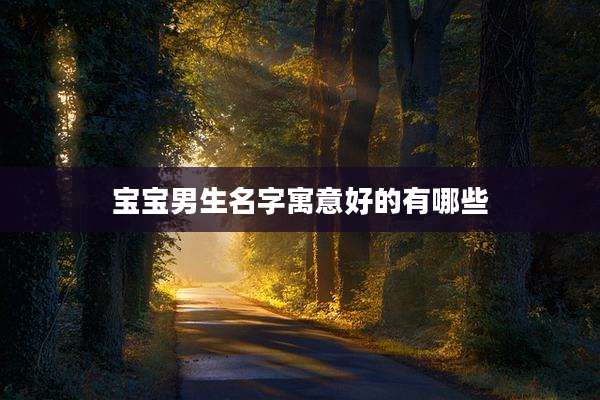 宝宝男生名字寓意好的有哪些