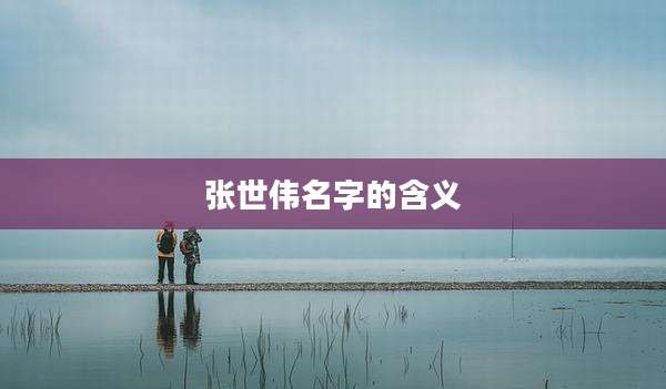 张世伟名字的含义
