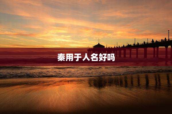 秦用于人名好吗