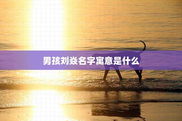 男孩刘焱名字寓意是什么