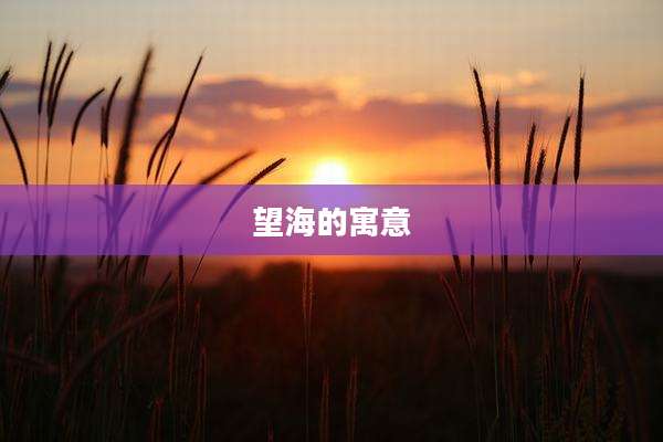 望海的寓意