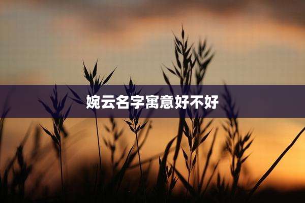 婉云名字寓意好不好