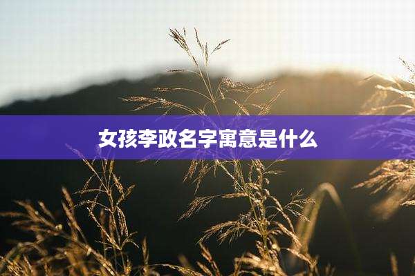 女孩李政名字寓意是什么