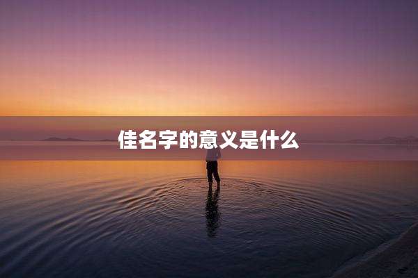 佳名字的意义是什么