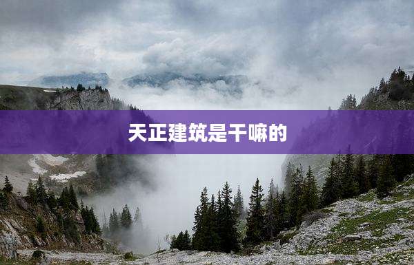 天正建筑是干嘛的