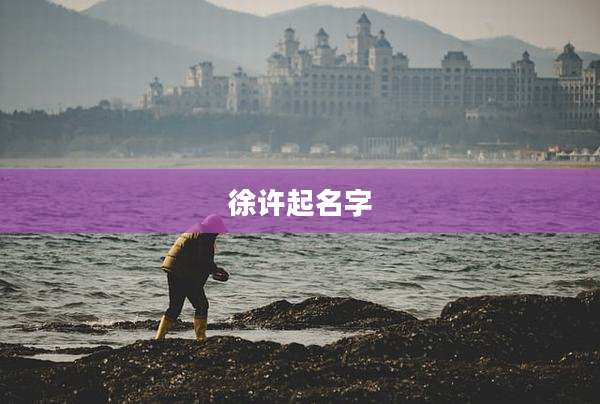 徐许起名字