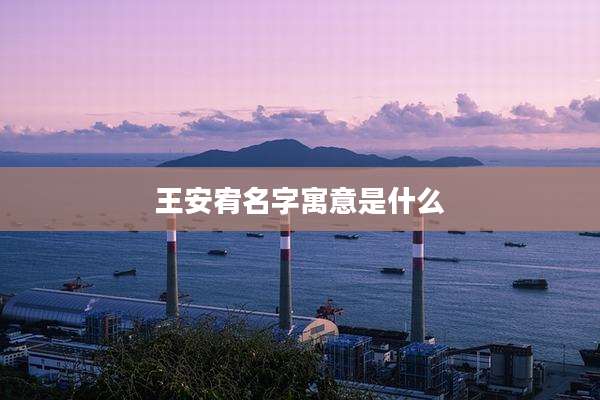 王安宥名字寓意是什么