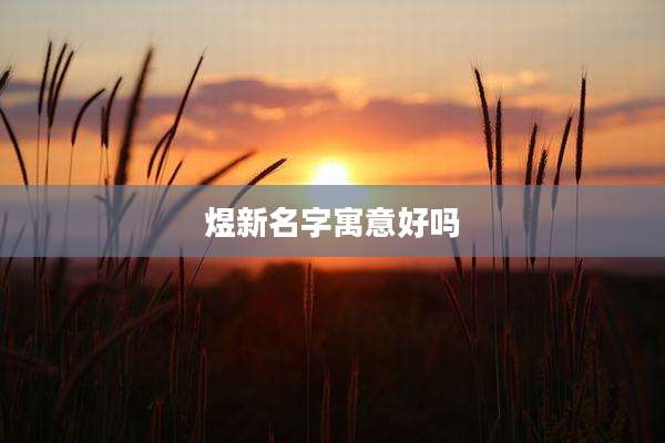 煜新名字寓意好吗
