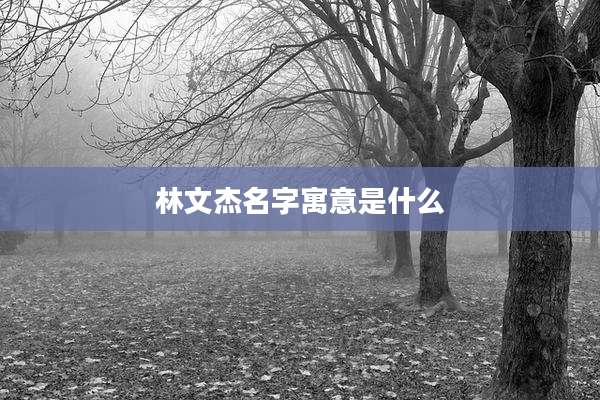 林文杰名字寓意是什么