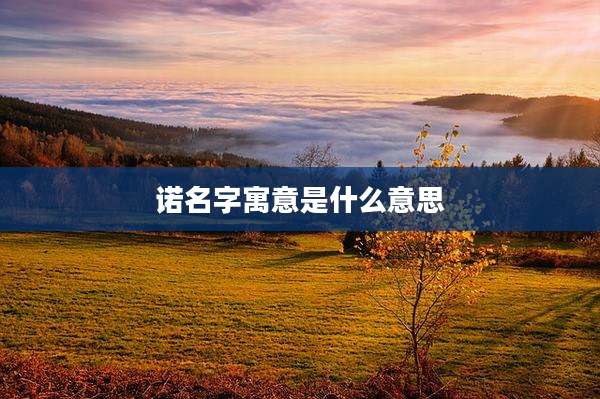 诺名字寓意是什么意思