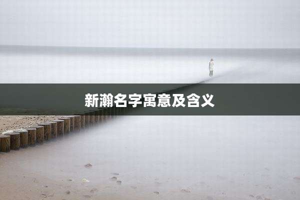 新瀚名字寓意及含义
