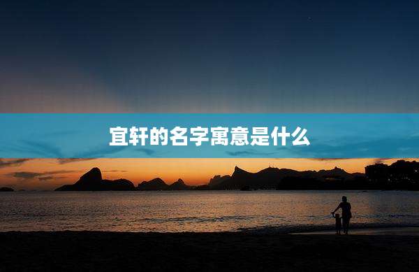 宜轩的名字寓意是什么