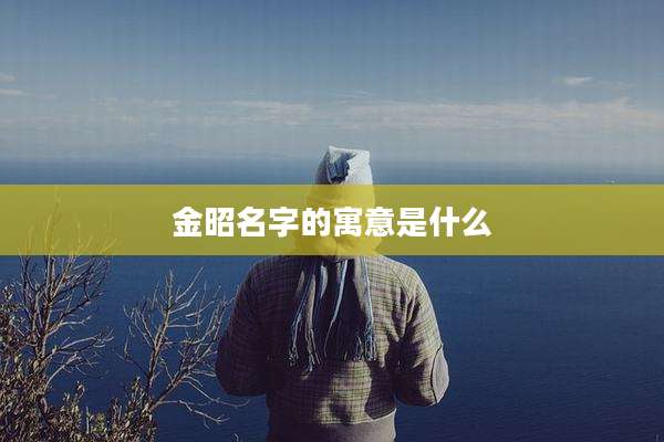 金昭名字的寓意是什么