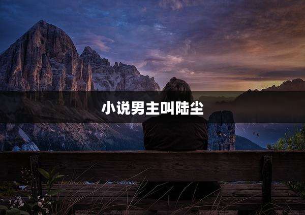 小说男主叫陆尘