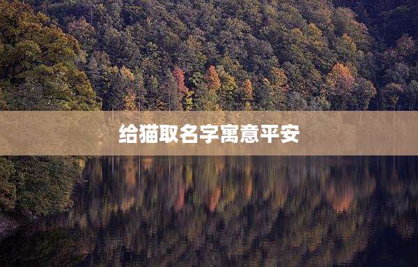 给猫取名字寓意平安