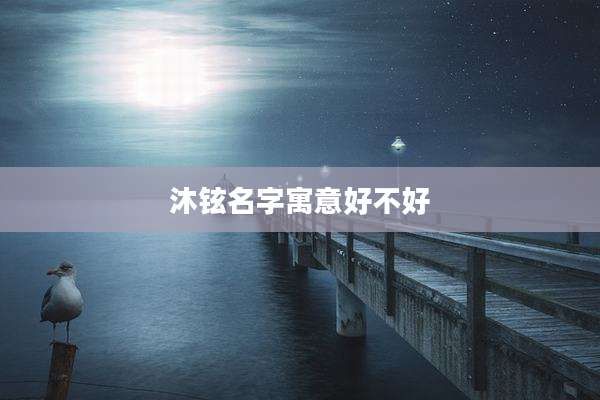 沐铉名字寓意好不好
