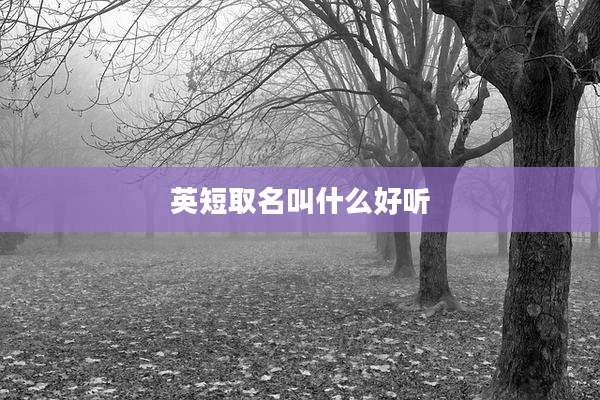 英短取名叫什么好听