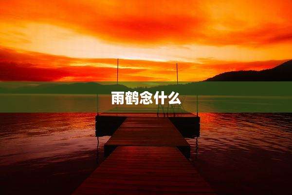 雨鹤念什么