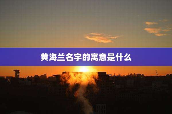 黄海兰名字的寓意是什么