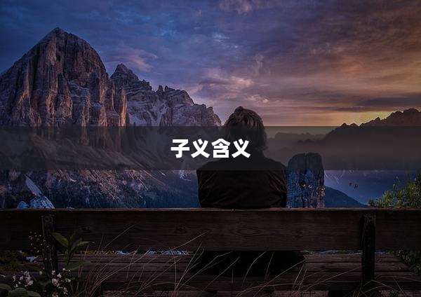 子义含义