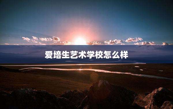 爱培生艺术学校怎么样