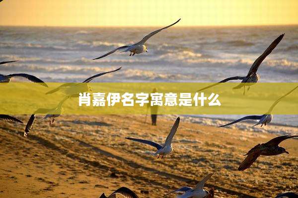 肖嘉伊名字寓意是什么