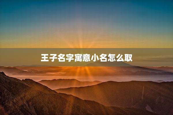 王子名字寓意小名怎么取