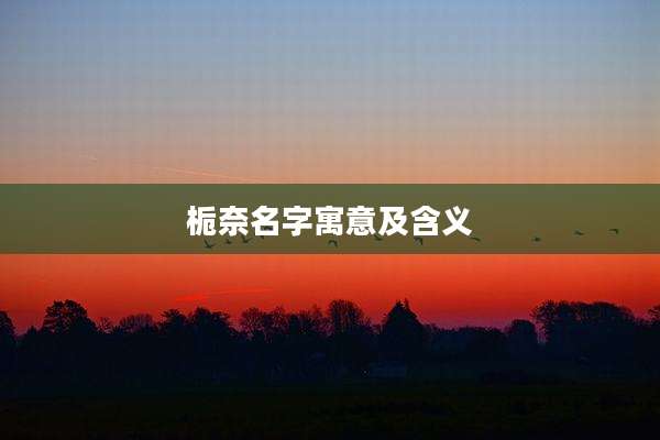 栀奈名字寓意及含义