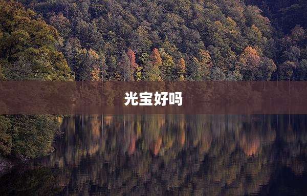 光宝好吗