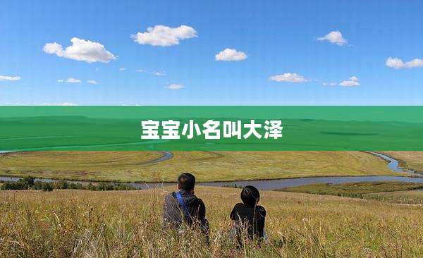 宝宝小名叫大泽