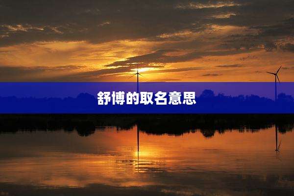 舒博的取名意思