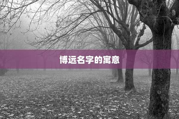 博远名字的寓意