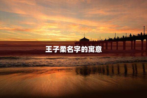 王子柔名字的寓意