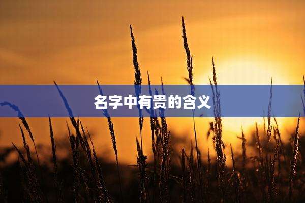 名字中有贵的含义
