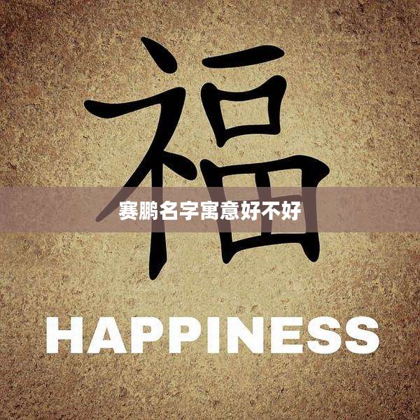 赛鹏名字寓意好不好