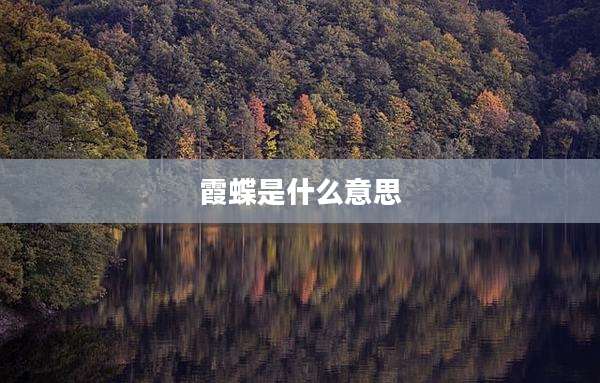 霞蝶是什么意思