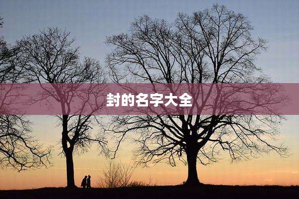 封的名字大全
