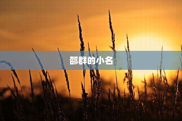 邵群的小名