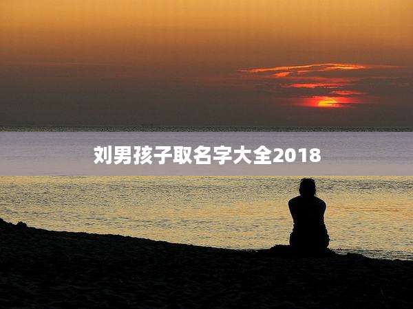 刘男孩子取名字大全2018