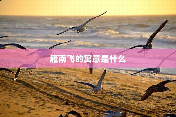 雁南飞的寓意是什么