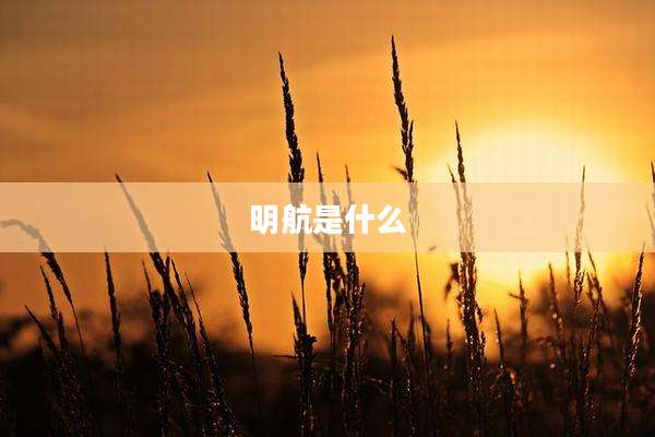 明航是什么