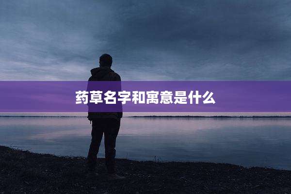 药草名字和寓意是什么