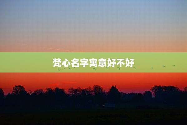 梵心名字寓意好不好