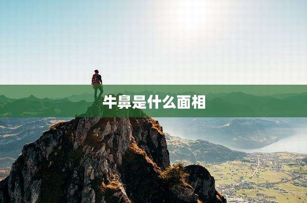 牛鼻是什么面相