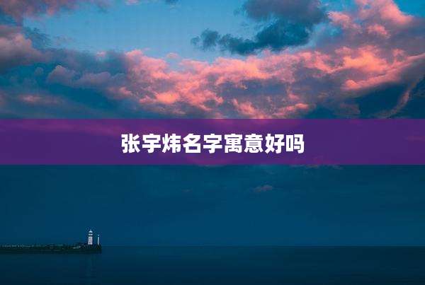 张宇炜名字寓意好吗