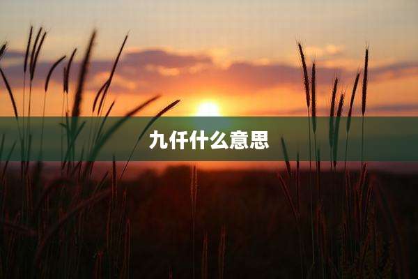 九仟什么意思