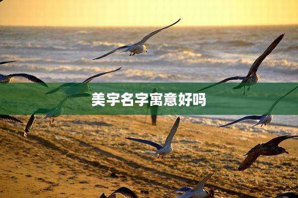 美宇名字寓意好吗