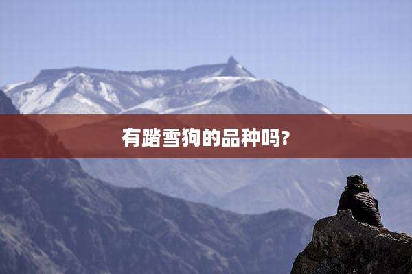 有踏雪狗的品种吗?